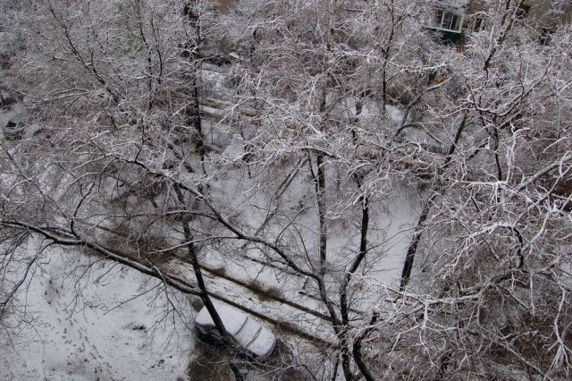 А нынче смотрим в окна с изумленьем...