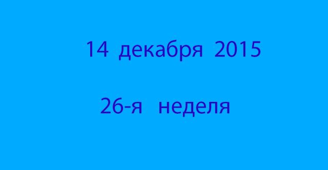 Метка 14 декабря 2015