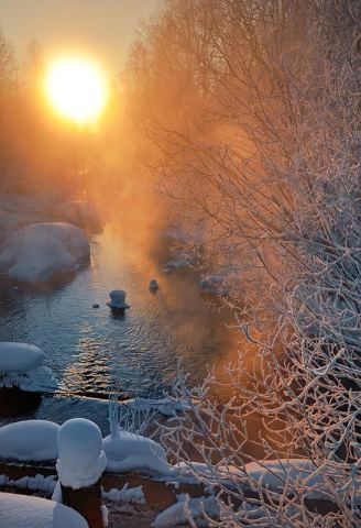 Frosty colors of winter