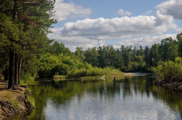 Ловись рыбка.