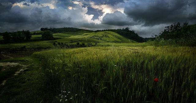 Перед дождем.  Тоскана, Италия