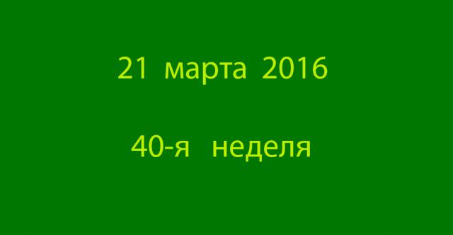 Метка 21 марта 2016