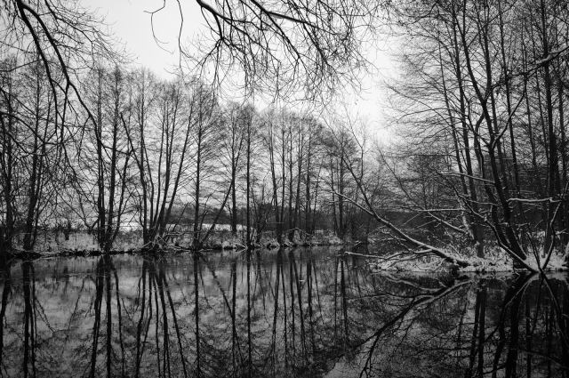 DSC_3973c.jpg