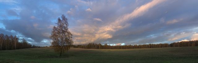 DSC_3672c.jpg