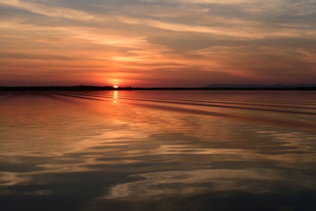 DSC_109.jpg