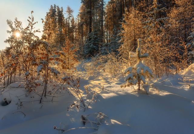 Ноябрьский полдень