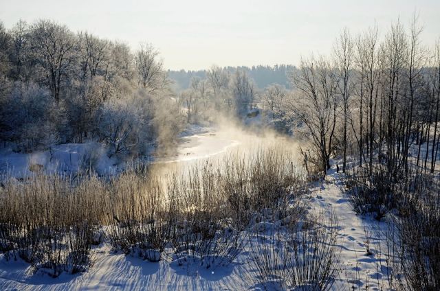 морозное утро