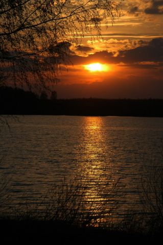 DSC_7813_измен.размер.JPG