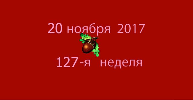 Метка 20 ноября 2017