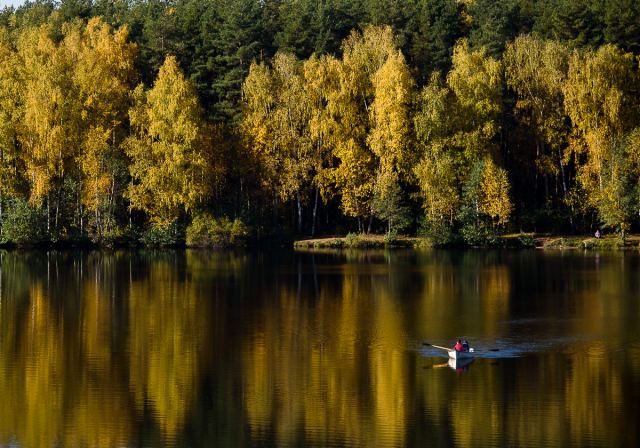 Осень в городском парке