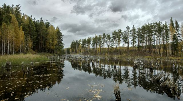 Времена года. Октябрь
