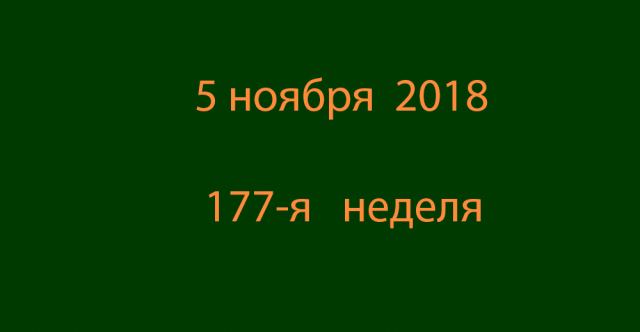 Метка 5 ноября 2018