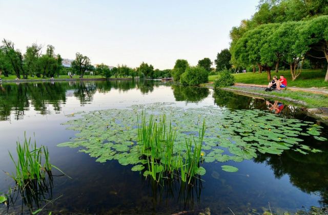 У воды
