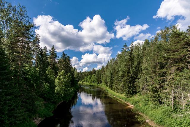 река Плюсса