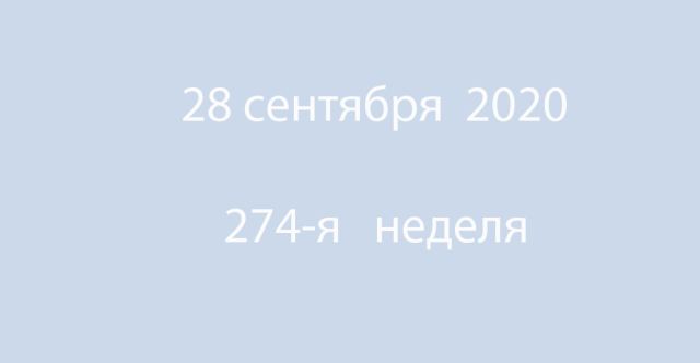Метка 28 сентября 2020