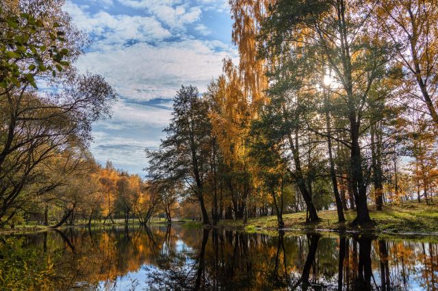 Золотая осень