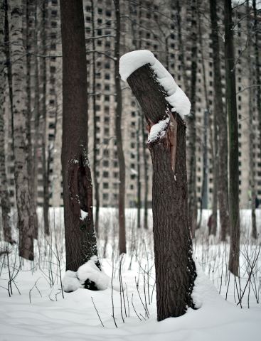 Проиграли