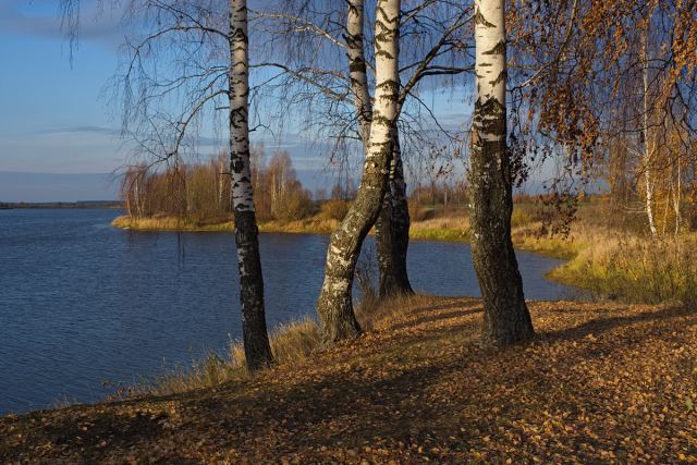 DSC_00168.jpg