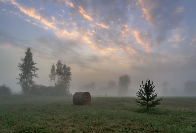Летний рассвет