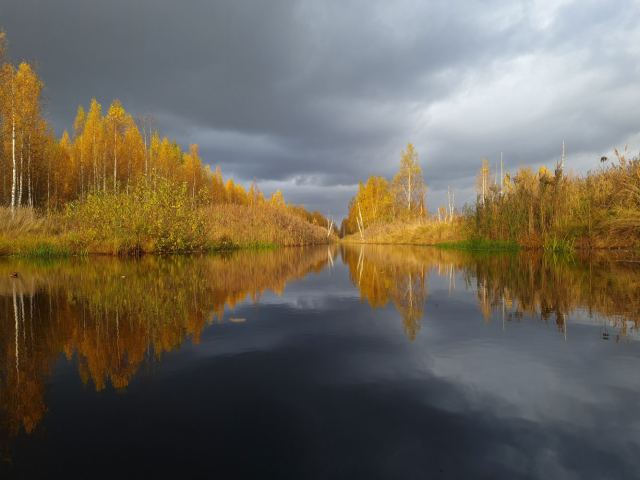 Осенняя