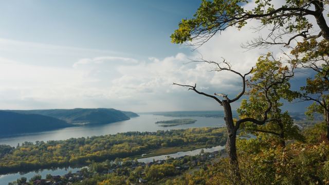 Осеннее настроение 