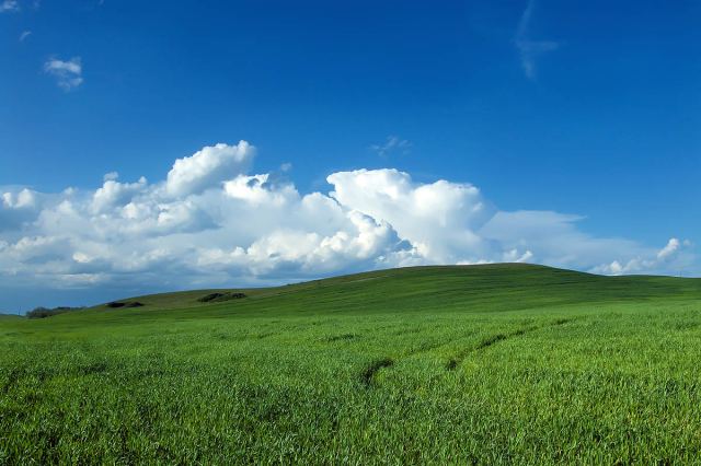 Обои Windows
