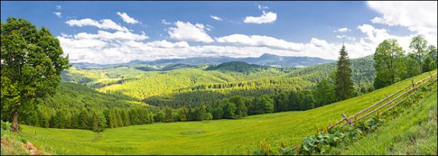 вид на Говерлу с Буковели, Карпаты