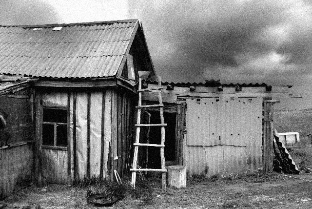 в деревне