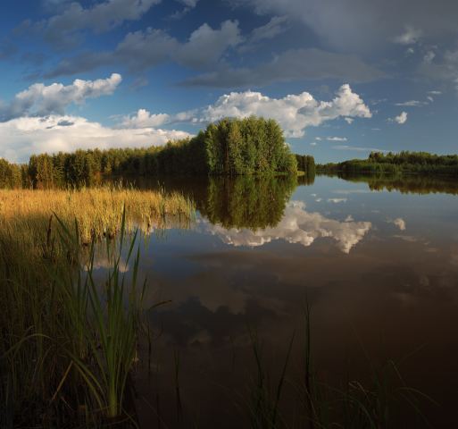 Берега Зазеркалья