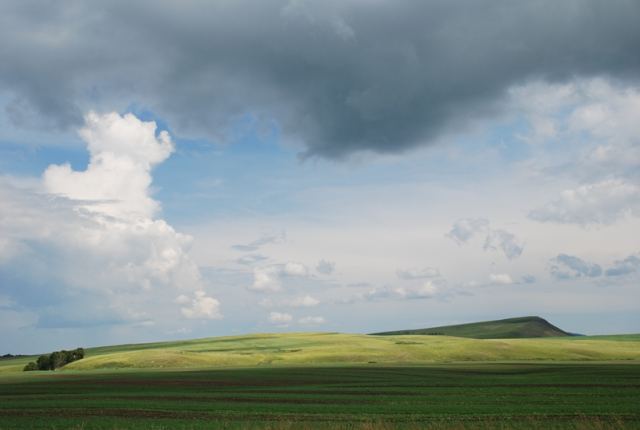 Нарисованая сказка