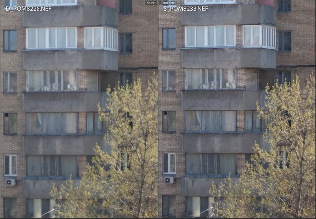 AF-D vs AF-S