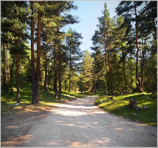 2 кадра верх и низ (+ фотошопика чуток :)