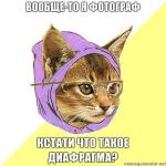 Аватара пользователя