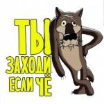 Аватара пользователя