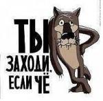 Аватара пользователя