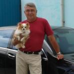 Аватара пользователя