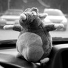 Аватара пользователя