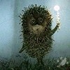 Аватара пользователя
