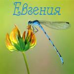 Аватара пользователя