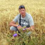 Аватара пользователя