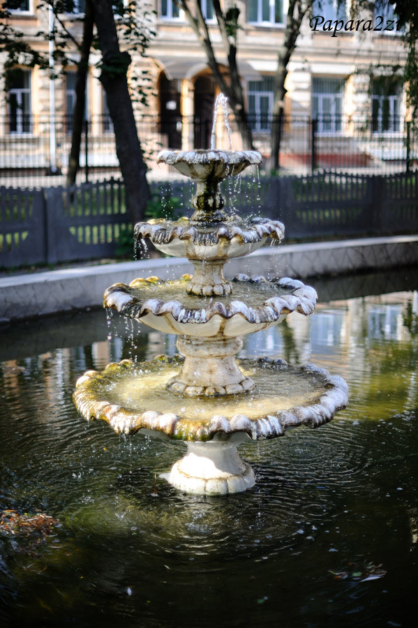 DSC_5533L.jpg