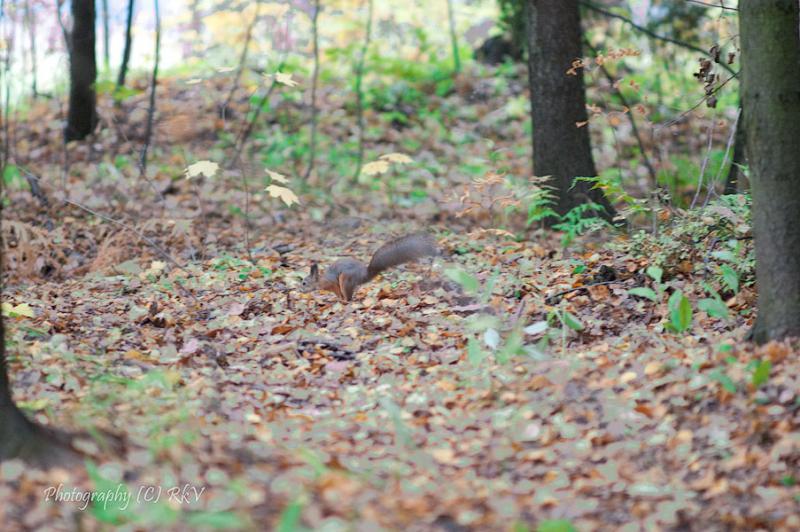 DSC_8084.jpg