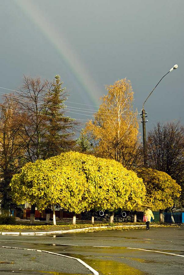 DSC_5520a.jpg