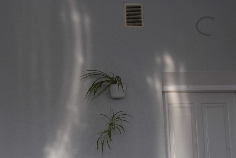 _N200020_.jpg