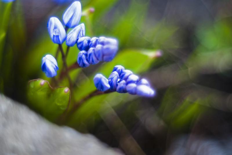 DSC_9980a.jpg