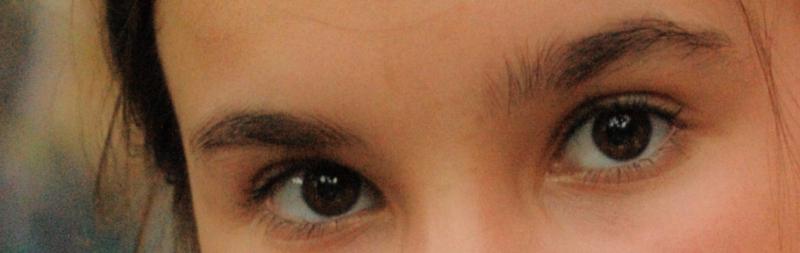 DSC_2378_crop.jpg