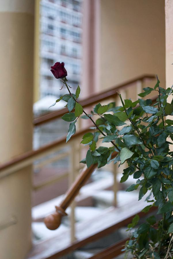 DSC_3881а.jpg