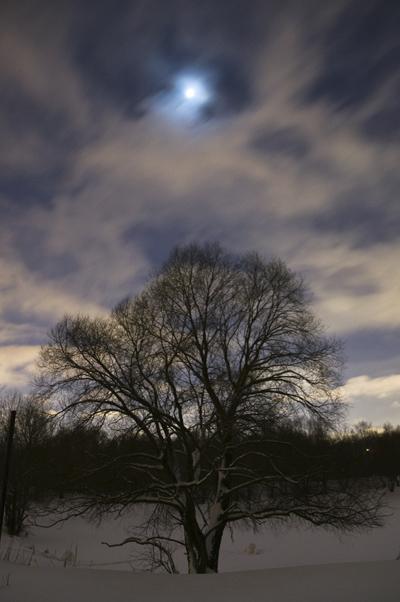 DSC_0209_sm.jpg