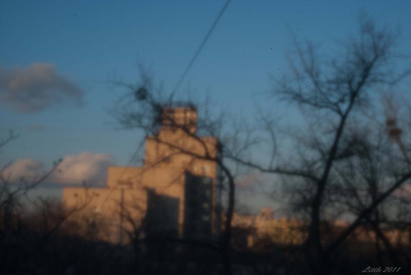 DSC_1182.jpg