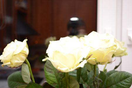 DSC_0429.JPG
